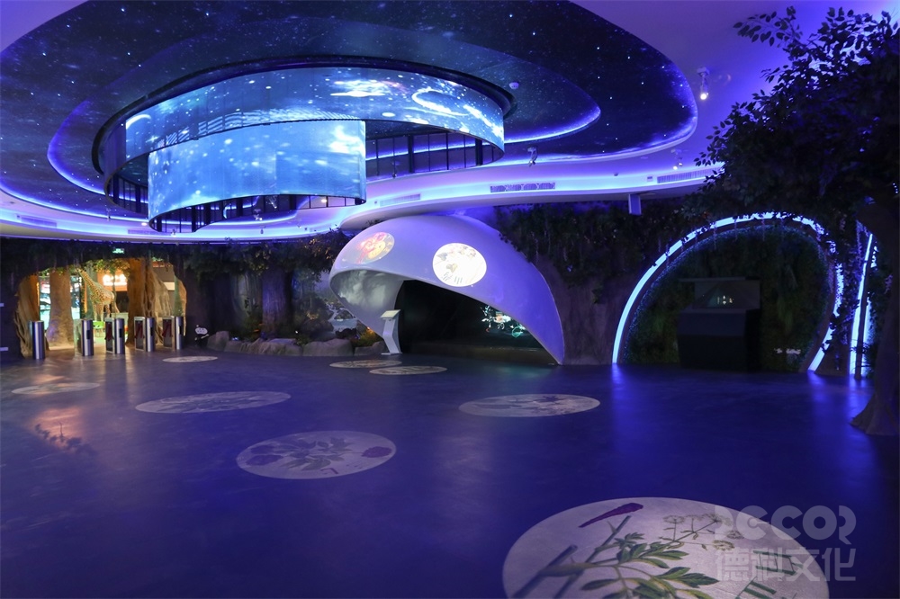 互動展示方式在科普館設計中的應用，增強觀眾的參與感